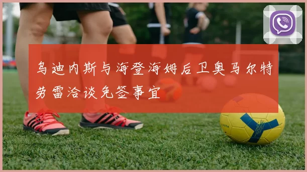 乌迪内斯与海登海姆后卫奥马尔特劳雷洽谈免签事宜