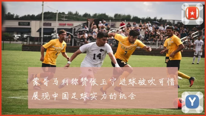 蒙哥马利称赞张玉宁进球被吹可惜展现中国足球实力的机会