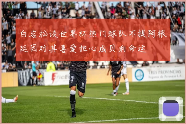白岩松谈世界杯热门球队不提阿根廷因对其喜爱担心成贝利命运