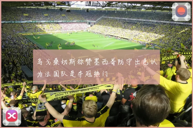 乌戈桑切斯称赞墨西哥防守出色认为法国队是夺冠热门